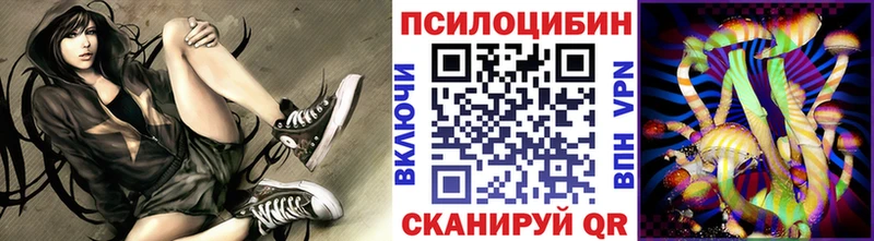 Псилоцибиновые грибы GOLDEN TEACHER Барыш